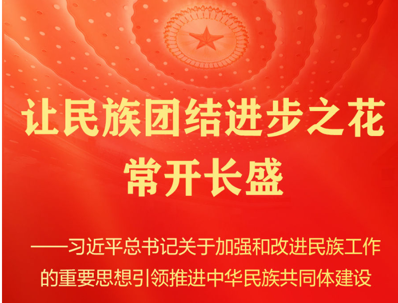 习近平总书记引领推进中华民族共同体建设