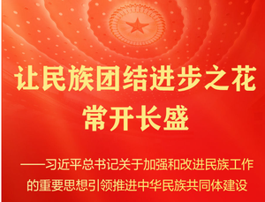 习近平总书记引领推进中华民族共同体建设