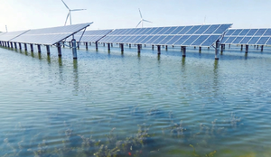 “光伏蓝”点亮“农业绿”