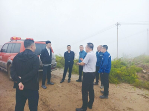 绿途清风 审批为民&mdash;&mdash;2025年山西省林业和草原局涉林行政审批改革纪实