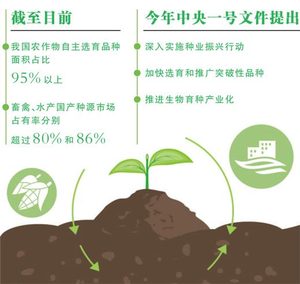 做强农业“芯片”,端稳中国饭碗