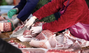 为期9个月！大同市面向社会征集两类食品安全违法线索