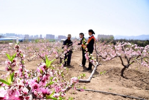金融活水润三晋 阳泉农商助春耕