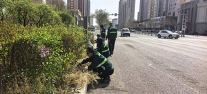 大同市平城区 垃圾清零见实效 绿色空间惠民生