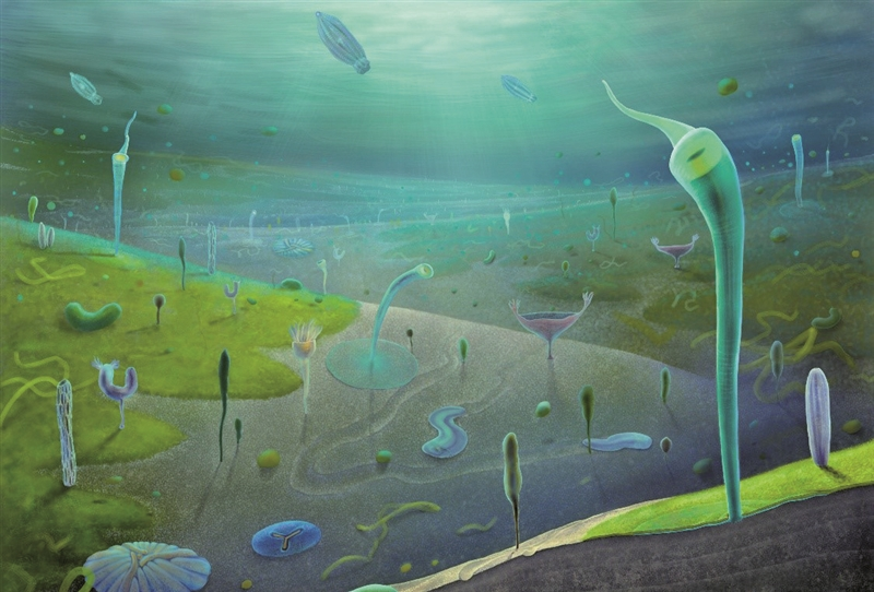 5.4亿年前的&ldquo;快照&rdquo;曝光人类远古&ldquo;老祖&rdquo;