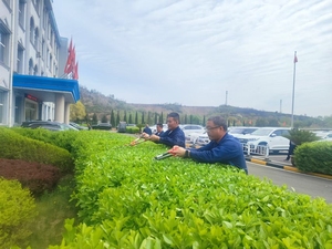 郊区恒源公司开展绿植修剪养护工作
