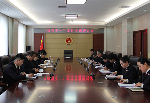 阳泉市郊区人民检察院召开“诉判不一”案件专题研讨会