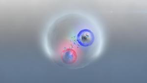 我科学家粒子物理新发现改写教科书