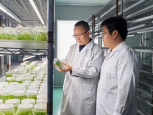 科技赋能架金桥 晋疆携手共振兴 ——山西农业科技援疆助力边疆农业高质量发展纪实