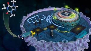 赋予生物新功能,创造新生命形态,合成生物学核心愿景达成还要多久