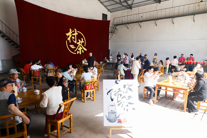 【科报观阳泉】戏台喝茶 院里赏花 来大村村“茶花汇”解锁乡村慢生活