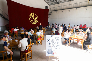【科报观阳泉】戏台喝茶 院里赏花 来大村村&ldquo;茶花汇&rdquo;解锁乡村慢生活
