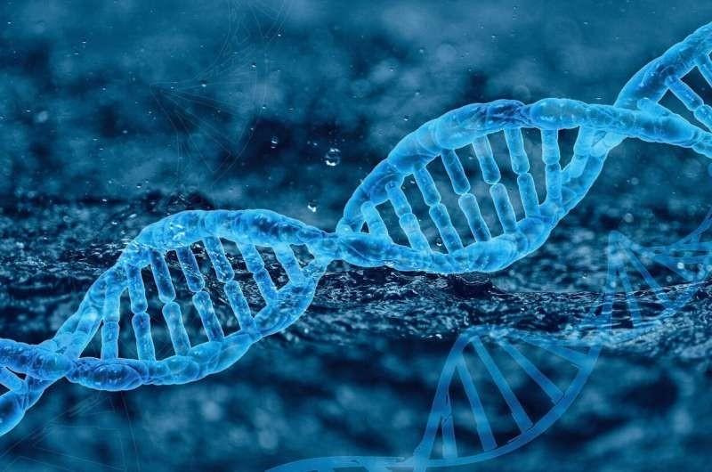 我科学家自主研发RNA编辑技术治疗罕见病