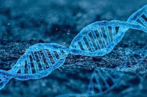 我科学家自主研发RNA编辑技术治疗罕见病