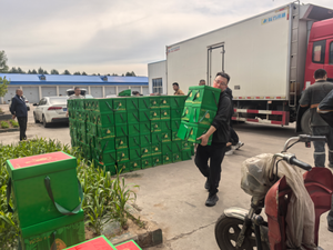 同发东周窑煤业公司开展端午节普惠福利发放