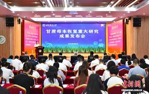 中国科学团队破解百年甘蔗育种核心谜题