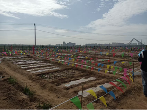 大同市平城区：城郊融合赋新能 农旅文教齐发力