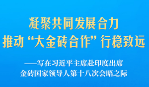 习近平将赴印度出席金砖国家领导人第十八次会晤