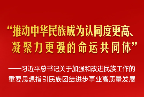 习近平总书记指引民族团结进步事业高质量发展