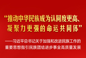 习近平总书记指引民族团结进步事业高质量发展