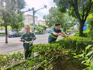 大同市平城区： 精耕细作提质增绿 擦亮城市生态底色